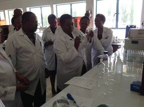 Tanzania Animal feeds Laboratory - training of staff