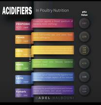 Organic acids purpose