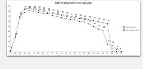 HDP Production % vs Flock Age