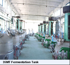 Factory pic: Fermenter