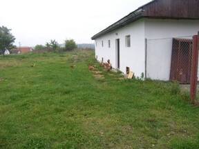 Prima micro ferma in sistem free range din Romania