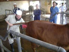 Dairy Technology Training Course