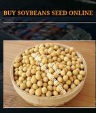 BUY SOYBEANS SEED ONLINE
