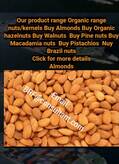 Buy Almonds, Hazelnuts, Walnuts,Pine nuts,Macadamia nuts, Pistachios