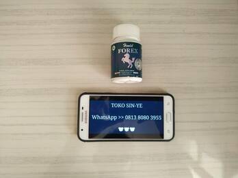 hendel forex steislim jogja