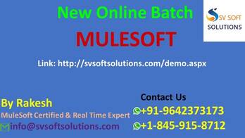 MuleSoft Online Training 
