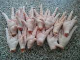 Halal Frozen Chicken Feet And Chicken Paws From Brazil (SIF Plant)