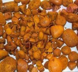 Ox Gallstones for sale