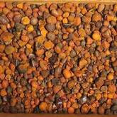 Ox Gallstones for sale for sale,whole sales quality dry seahorse.