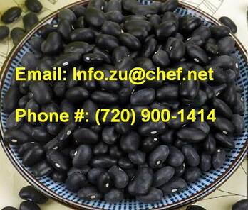 Buy White,Red,& Black Kidney Beans For Sale Bulk,E-Mail: Info.Zu@Chef.Net