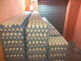 HATCHING WHITE EGGS FOR SALE