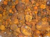 hot sale cattle ox cow gallstones