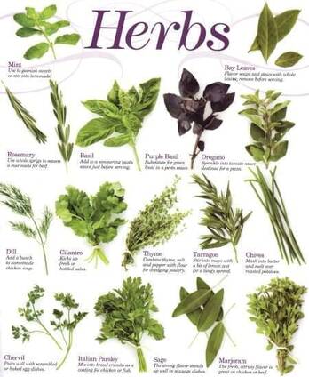 Raw dried materials of essential oils such as Oregano, Thyme, peppery mint, Cumin, Anise, Fennel see