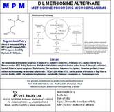 METHIONINE REPLACEMENT BY DFM