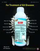 GILL CLEAN FOR PREVENTION OF ALL TYPES OF GILL DISEASES IN VANNAMEI SHRIMPS-IHCL- PVS GROUP