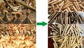Biomass Pellets of FTM Straw Pellet Making Machine