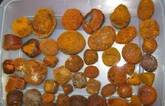 cow and ox gallstones for sale
