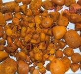 Ox , cow , cattle gallstones Available
