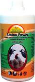 Amino Power