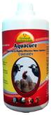  Highly Effective Water Sanitizer for Poultry.