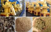 Discussion on Two Key Parts of Wood Pellet Mill 