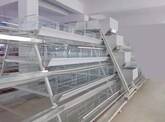 equipment needed for poultry farming_shandong tobetter specifications complete