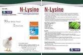 N-Lysine