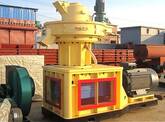 Automatic Oiling System in FTM Wood Pellet Mill