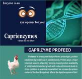 Caprizyme PROFEED