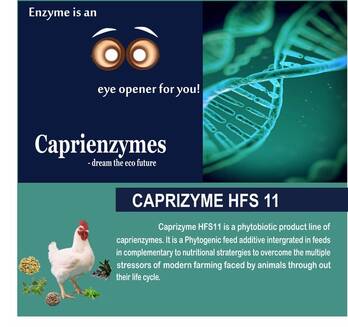 Caprizyme HFS 11