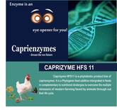 Caprizyme HFS 11