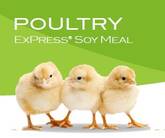 EXPRESS® SOY MEAL FOR POULTRY