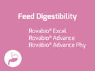 Feed Digestibility