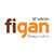 FIGAN 12th edition