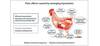 Mycotoxins in poultry