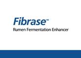 Fibrase™ Rumen Fermentation Enhancer