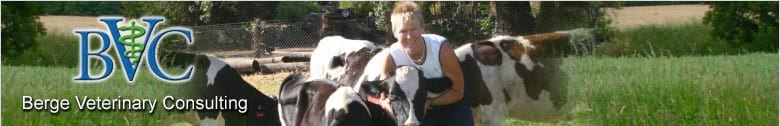 Berge Veterinary Consulting
