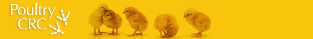 Poultry CRC