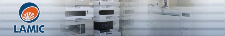 LAMIC - UFSM