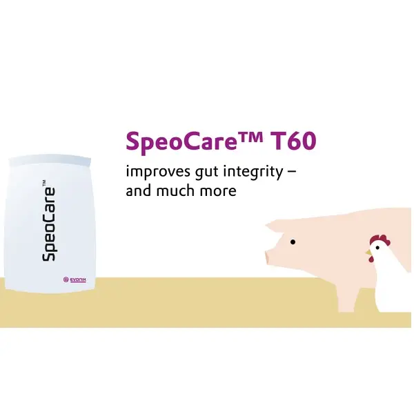 SpeoCare™ T60