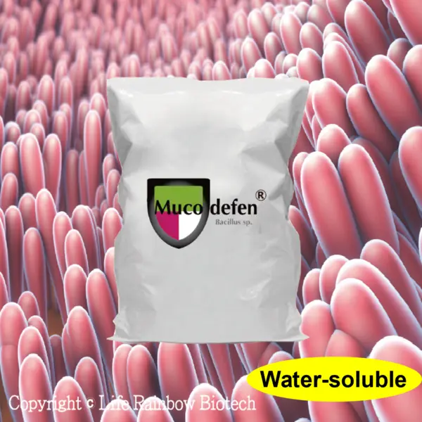 Muco-defen® (water-soluble)