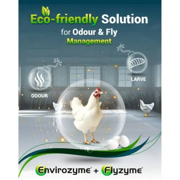 Flyzyme and Envirozyme