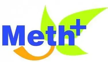 METHPLUS E