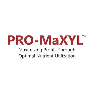 PRO-MaXYL™