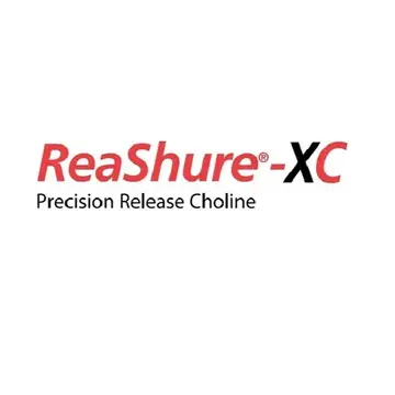 ReaShure®-XC