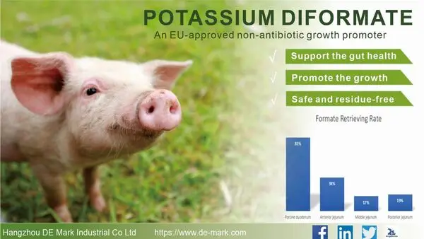 Potassium Diformate