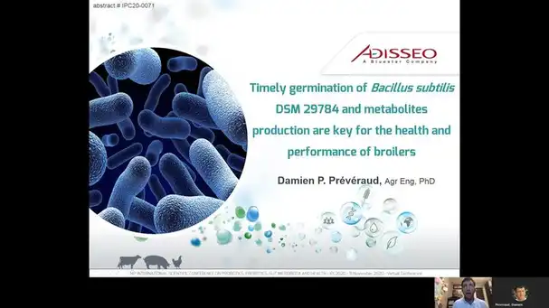 Timely germination of Bacillus subtilis DSM 29784 and metabolites production are key for the health and performance of broilers
