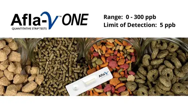 Afla V ONE 5 - 300 ppb Method for Total Aflatoxin Detection in Complete Feeds and Pet Food