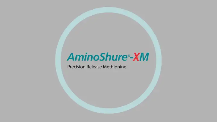 AminoShure™-XM