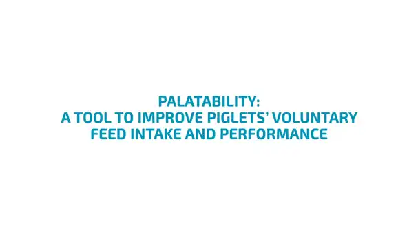 A tool to improve piglets voluntary feed intake and performance